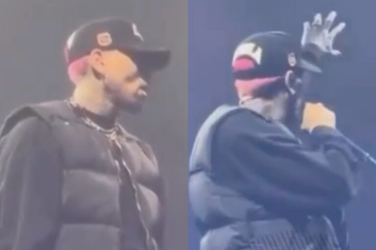 Chris Brown Stops Show to Check on Passed Out Fan in Crowd
