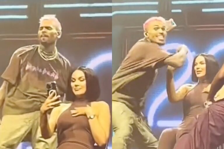 Chris Brown Throws Fan’s Phone Into Crowd for Recording Herself