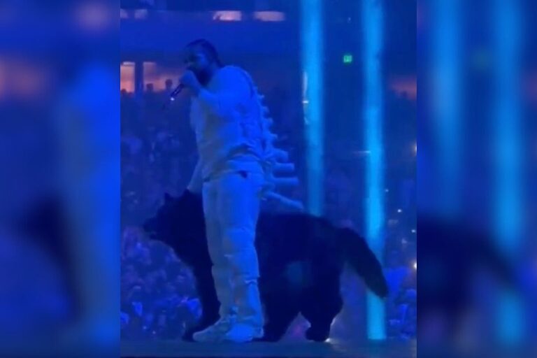 That Dog Drake Brings Out on Stage at His Tour Is Really a Man