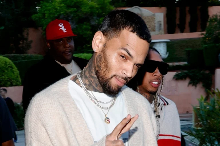 Chris Brown Says Dating Him Is Like Being With a Porn Star