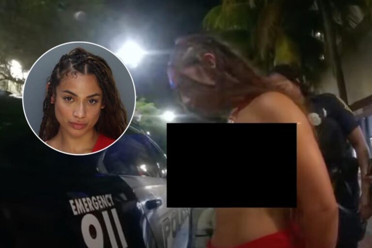 DaniLeigh Cries While Being Taken Into Custody in Bodycam Footage