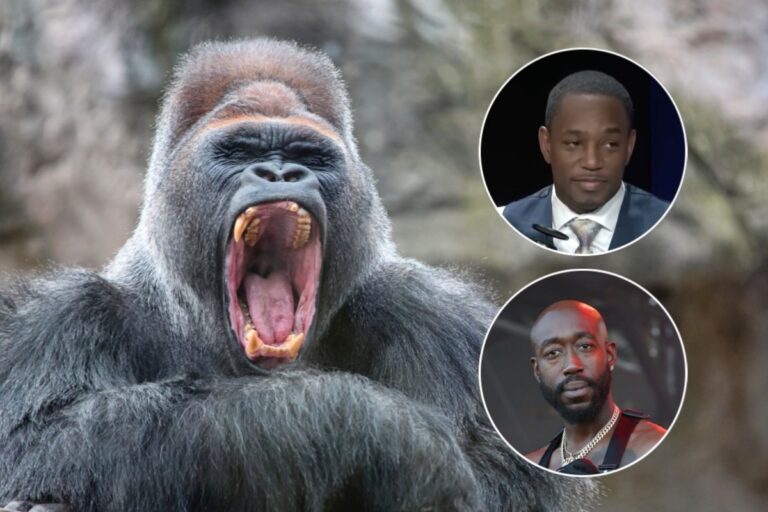 Rappers Weigh In on the Raging 100 Men vs a Gorilla Debate