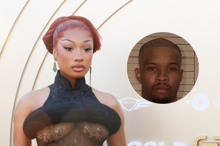 Megan Thee Stallion’s Attorney Refutes New Tory Lanez Evidence
